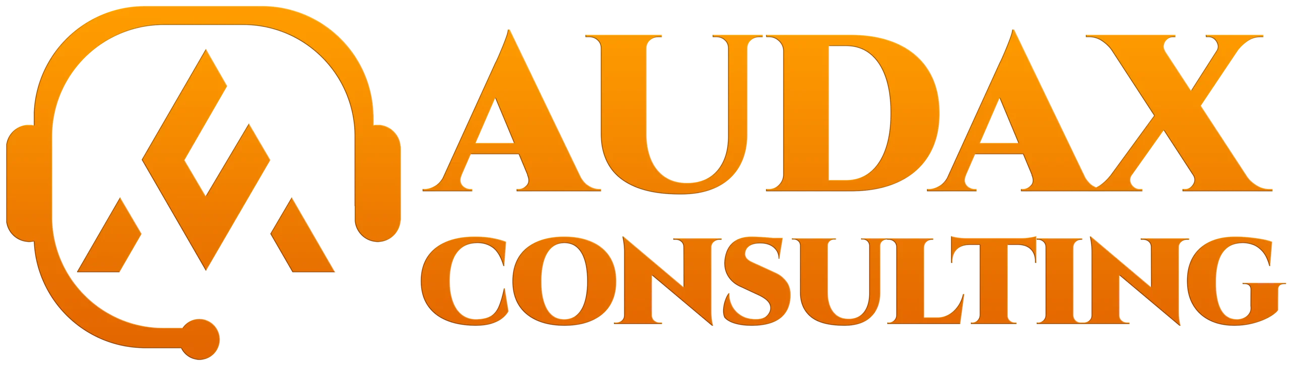 Audax Consulting Orange